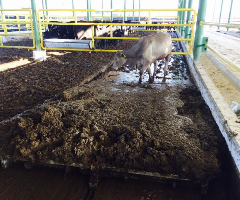 Gübre Sıyırıcı Fiyatları